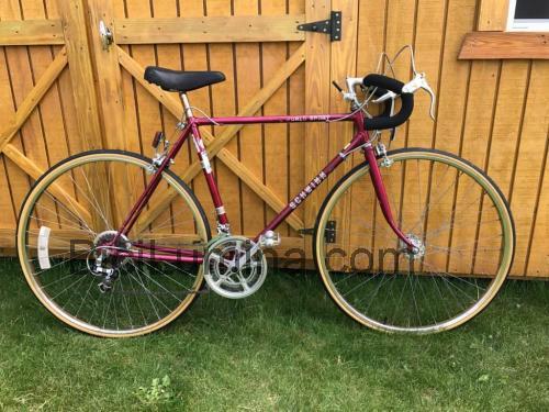 Schwinn World ficha técnica y opiniones